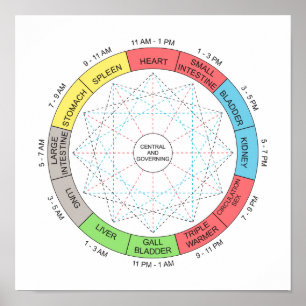 Affiche Couleur Horaire Cycle Acupuncture Art