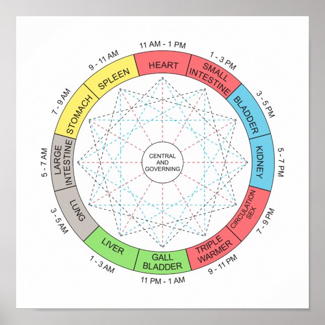 Affiche Couleur Horaire Cycle Acupuncture Art (Devant)