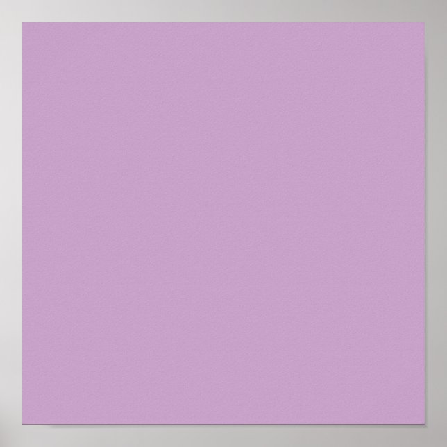 Affiche Couleur solide Lilac (Devant)