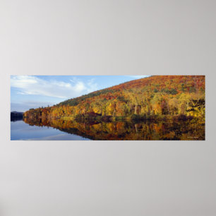 Affiche Couleurs 2 d'automne