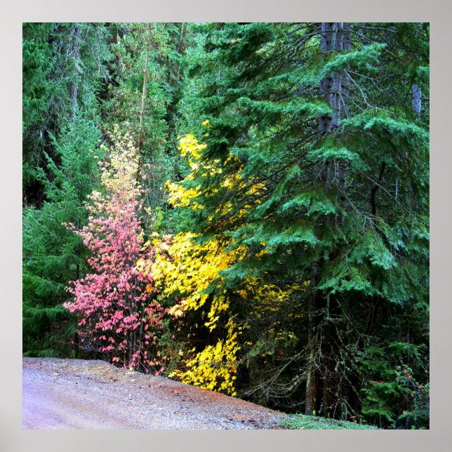 Affiche Couleurs automnales dans les montagnes.... (Devant)