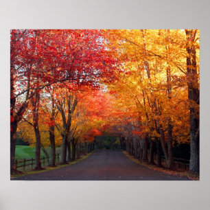 Affiche Couleurs d'automne