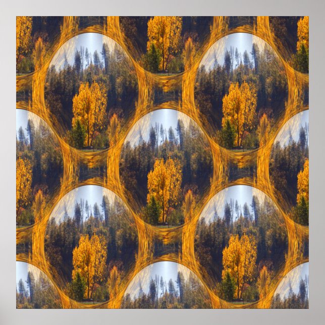 Affiche Couleurs d'automne à Hayfork... (Devant)