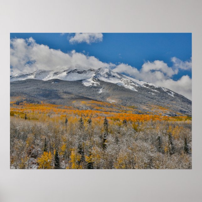 Affiche Couleurs d'automne Aspens & | Montagnes Rocheuses, (Devant)