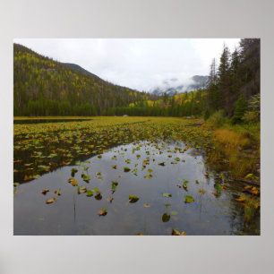 Affiche Couleurs d'automne au lac Cub