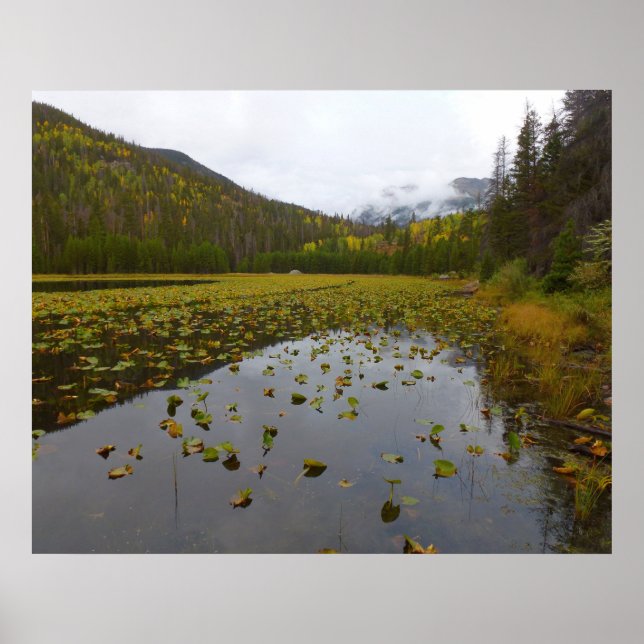 Affiche Couleurs d'automne au lac Cub (Devant)