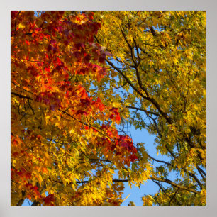 Affiche Couleurs d'automne, Ciel bleu, Ohio
