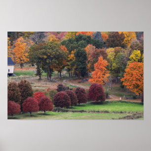 Affiche Couleurs d'automne dans le Massachusetts