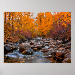 Affiche Couleurs d'automne dans les montagnes du Ruby