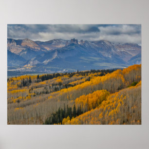 Affiche Couleurs d'automne sur les bosquets de trembles
