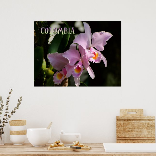 Affiche Couleurs de Colombie Orchidée (Cuisine)