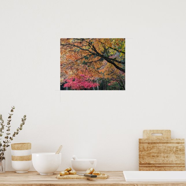 Affiche Couleurs de feuilles de saison automnale Botanical (Cuisine)