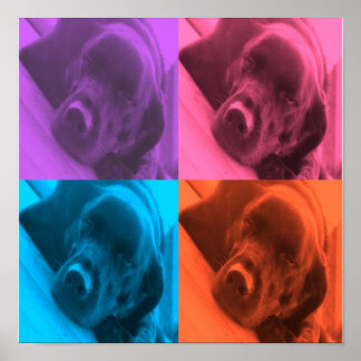 Affiche couleurs de l'affiche Lab