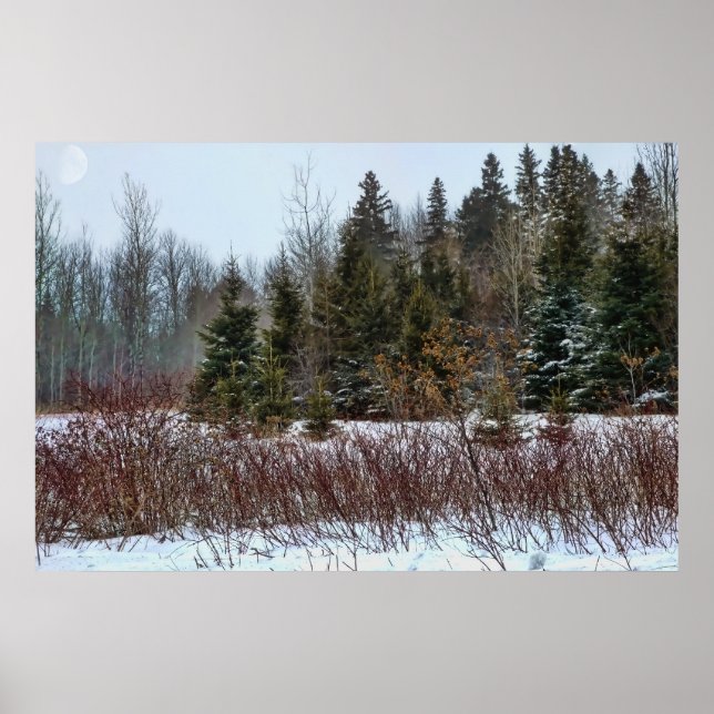 Affiche Couleurs d'hiver (Devant)