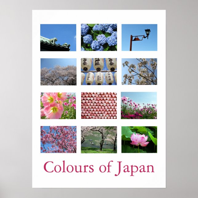 Affiche Couleurs du Japon (bleu/blanc/rose) (Devant)