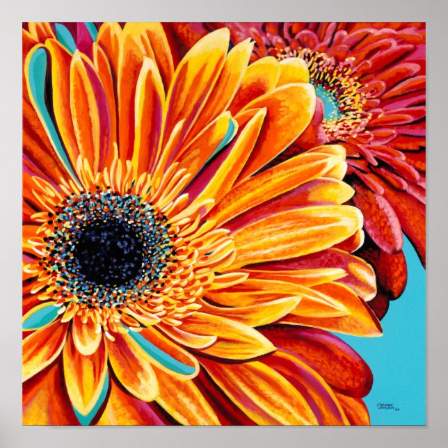 Affiche Couleurs éclatées II (Devant)