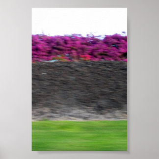 Affiche couleurs kona