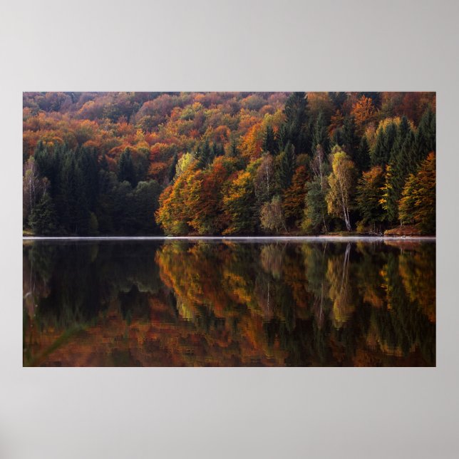 Affiche Couleurs réfléchies (Devant)