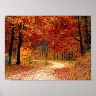 Affiche Couleurs saisonnières de l'automne