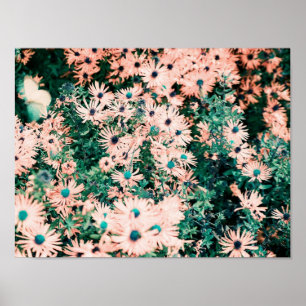 Affiche Couleurs uniques de fleurs sauvages