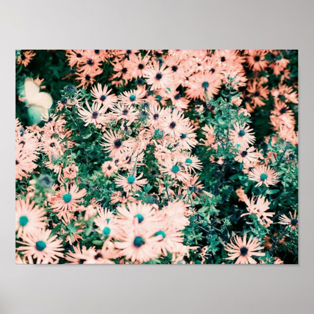 Affiche Couleurs uniques de fleurs sauvages (Devant)