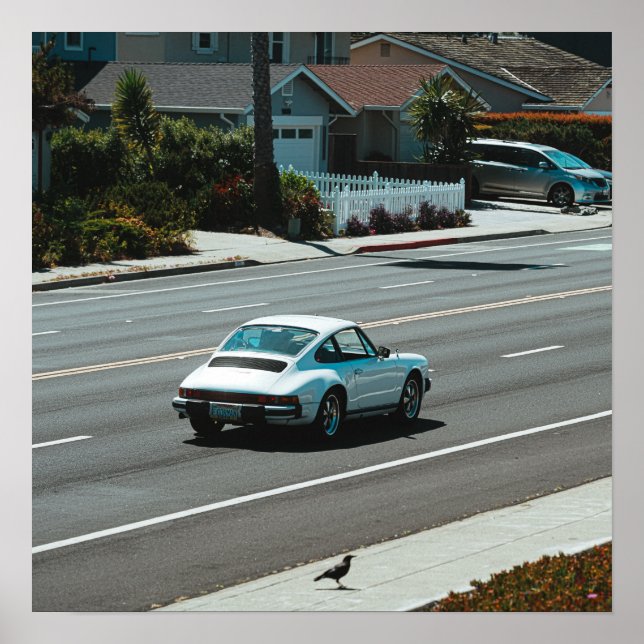 Affiche Coupe blanche (Devant)