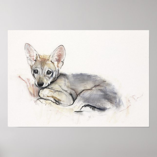 Affiche Coupe de loup d'Arabie de curling 2009 (Devant)