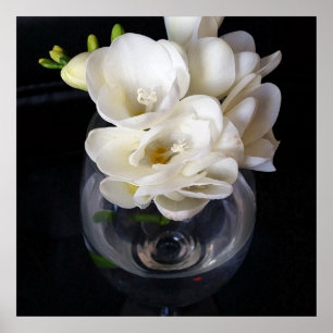 Affiche coupe de nuit de freesia