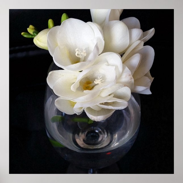 Affiche coupe de nuit de freesia (Devant)