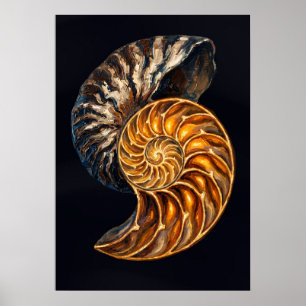 Affiche Coupe transversale de coquille de nautile — Spiral