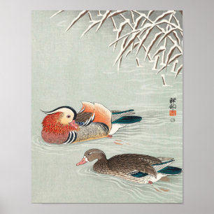 Affiche Couple mandarin duck print