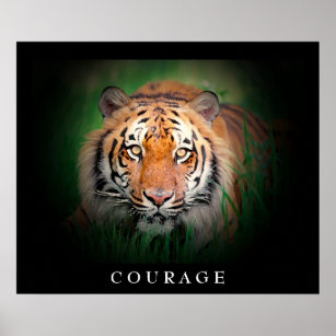 Affiche Courage motivationnel Tiger Yeux