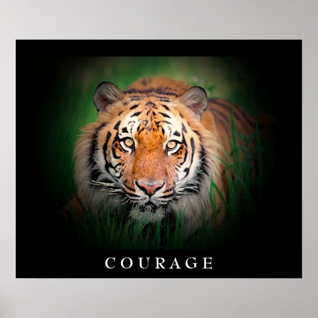 Affiche Courage motivationnel Tiger Yeux (Devant)