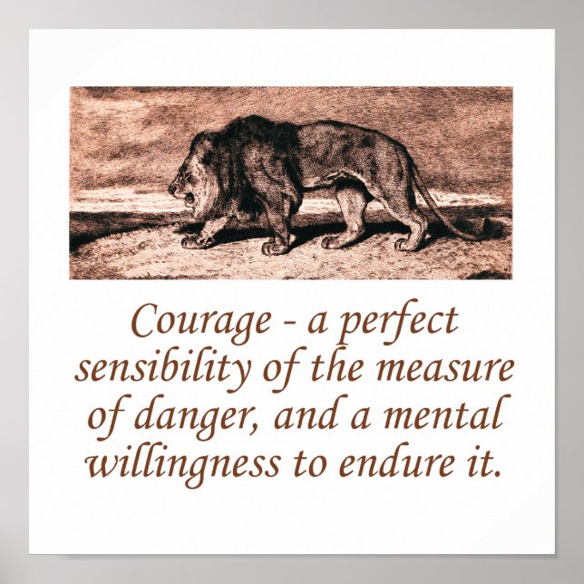 Affiche Courage Une Sensibilité Parfaite (Devant)