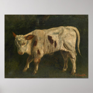 Affiche Courbet - Le Calf