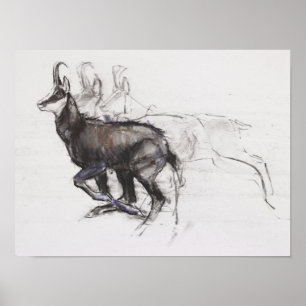 Affiche Coureur Chamois