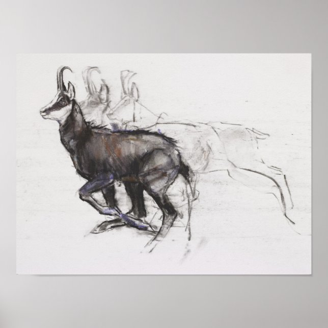 Affiche Coureur Chamois (Devant)