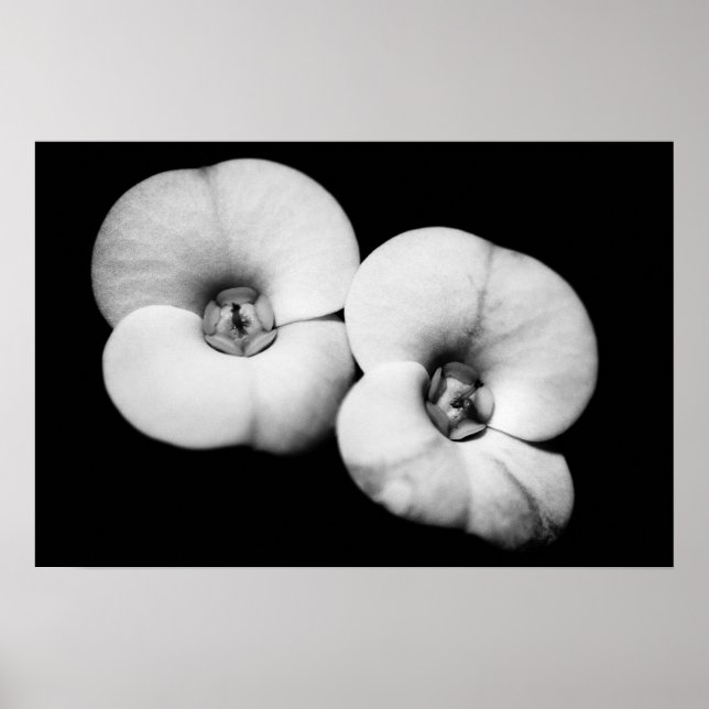 Affiche couronne d'épines (Devant)