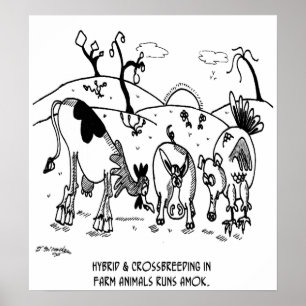 Affiche Course de croisement Amok