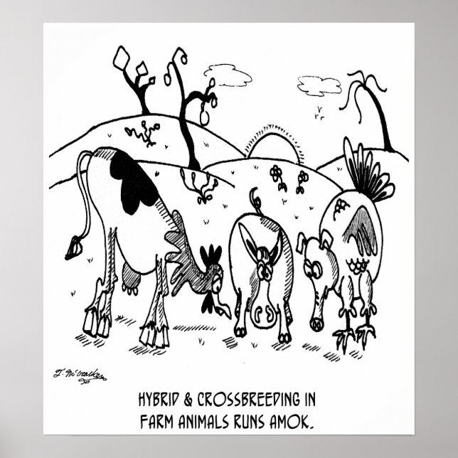 Affiche Course de croisement Amok (Devant)