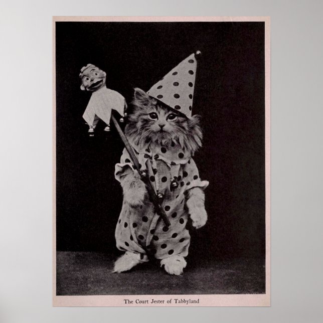 Affiche Court Jester de Tabblyland Chat photo Vintage (Devant)