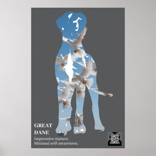 Affiche courte Grand Danois (Devant)