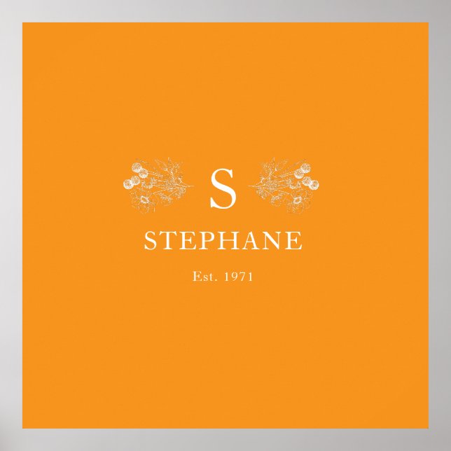 Affiche Coussin Elégance Moderne (Devant)