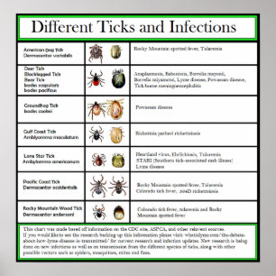 Affiche Coutils et diagramme différents d'infections