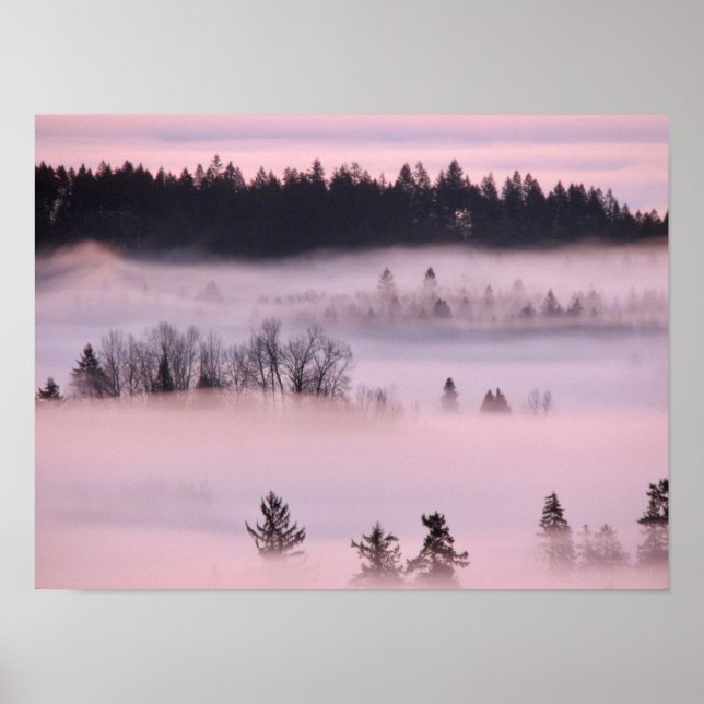 Affiche Couverture de brouillard rose. (Devant)
