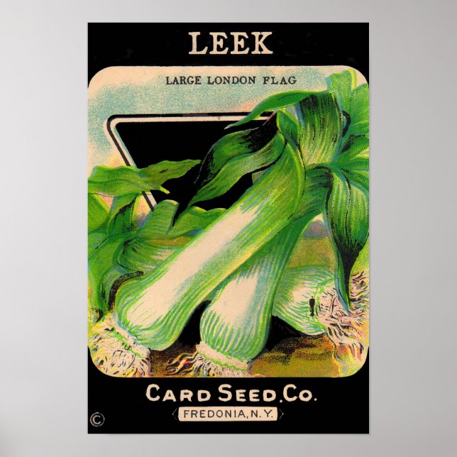 Affiche Couverture de l'enveloppe de la société Card Seed  (Devant)