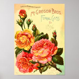 Affiche Couverture du catalogue des semences Vintages des 