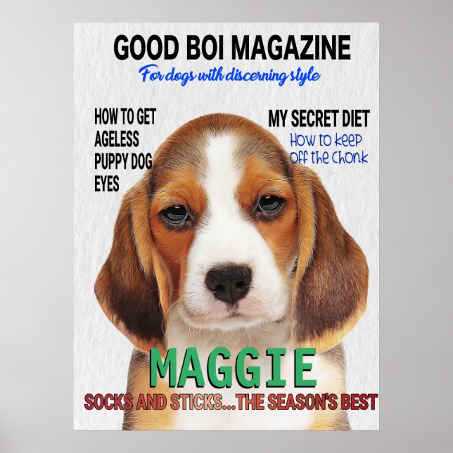 Affiche Couverture du magazine beagle Parody (Devant)