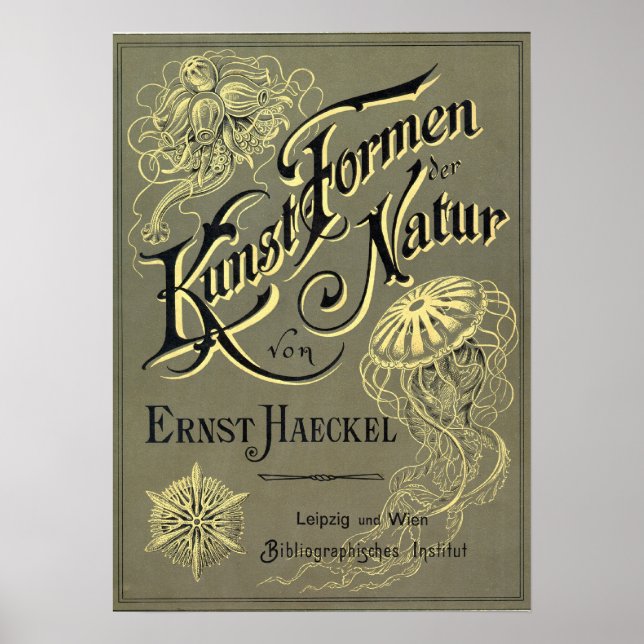 Affiche Couverture Kunstformen der Natur (Devant)