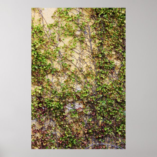 Affiche Couverture murale - Irlande (Devant)